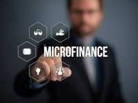 Micro Finance Management System